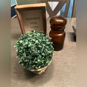 Plant themed decor lot